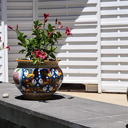 Paradisea Apartmán *