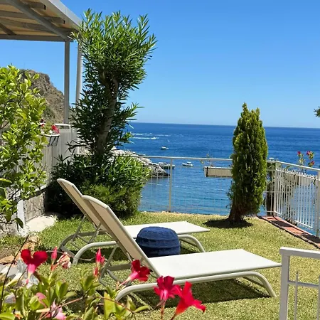 Paradisea * Taormina