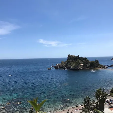 Paradisea تاورمينا
