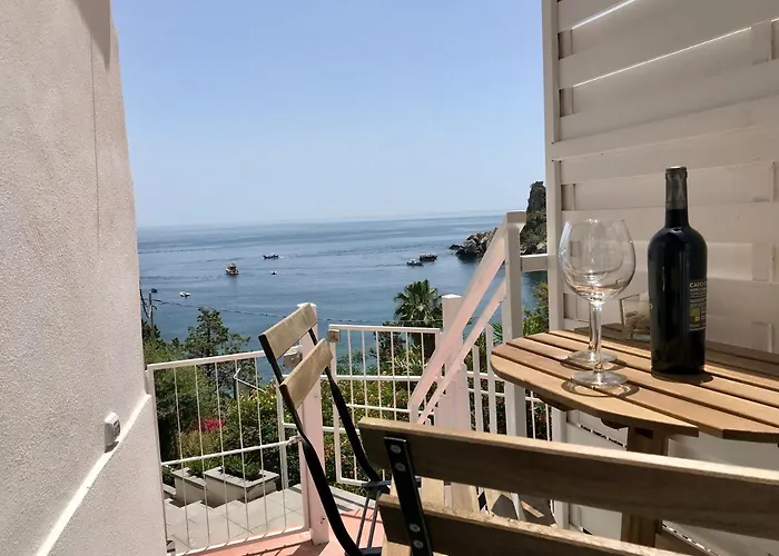 Paradisea تاورمينا